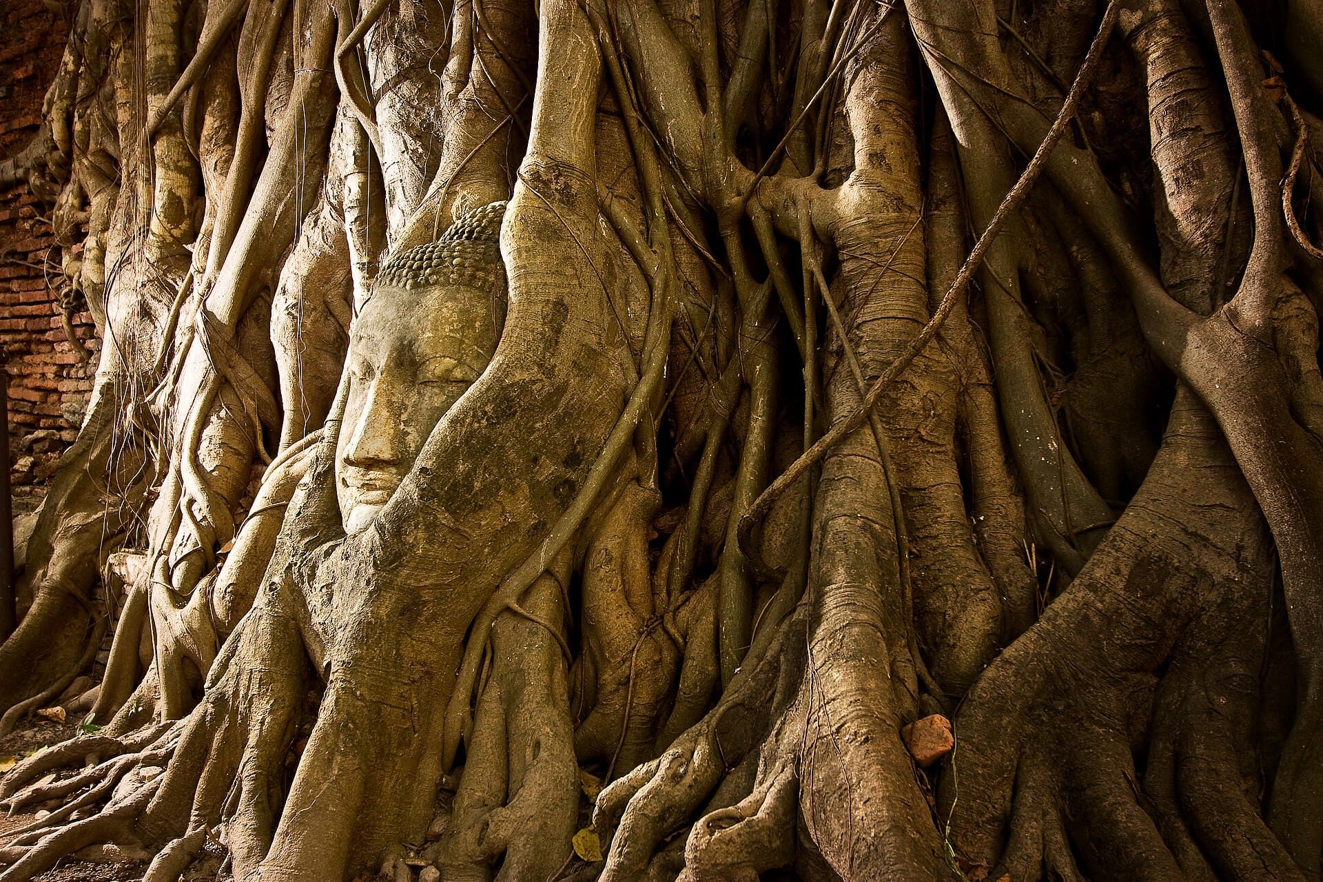 Ayutthaya