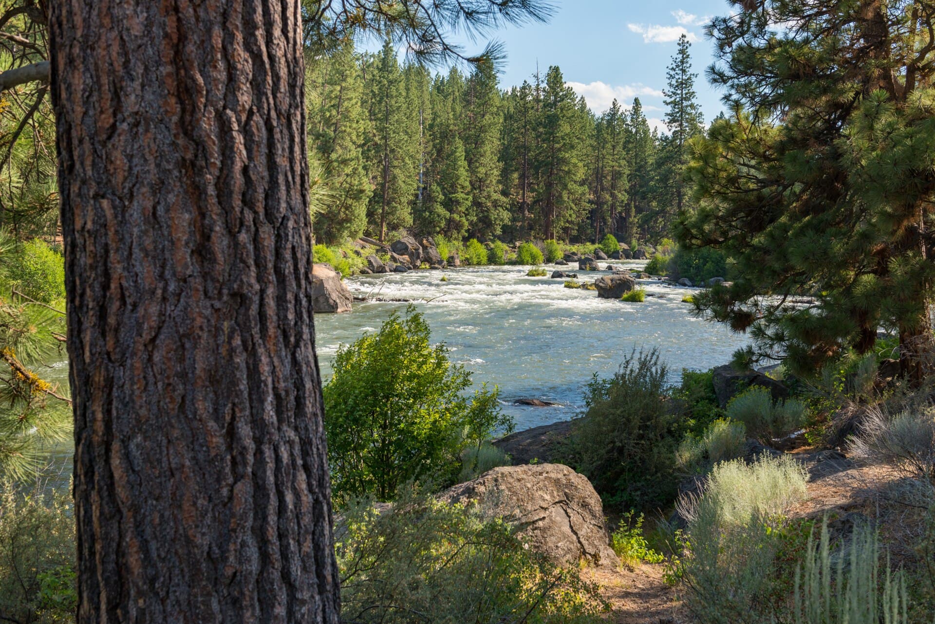 Bend