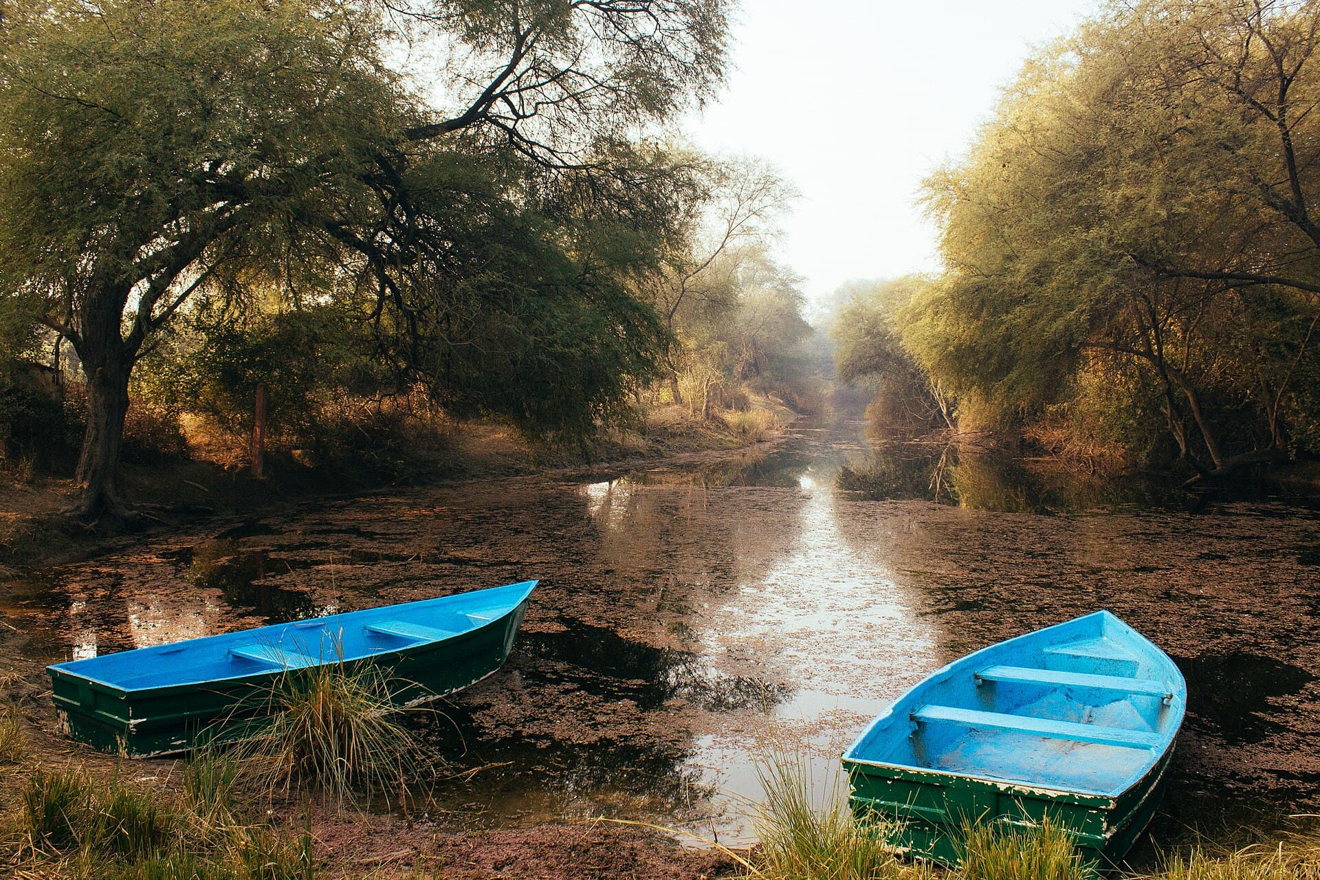 Bharatpur
