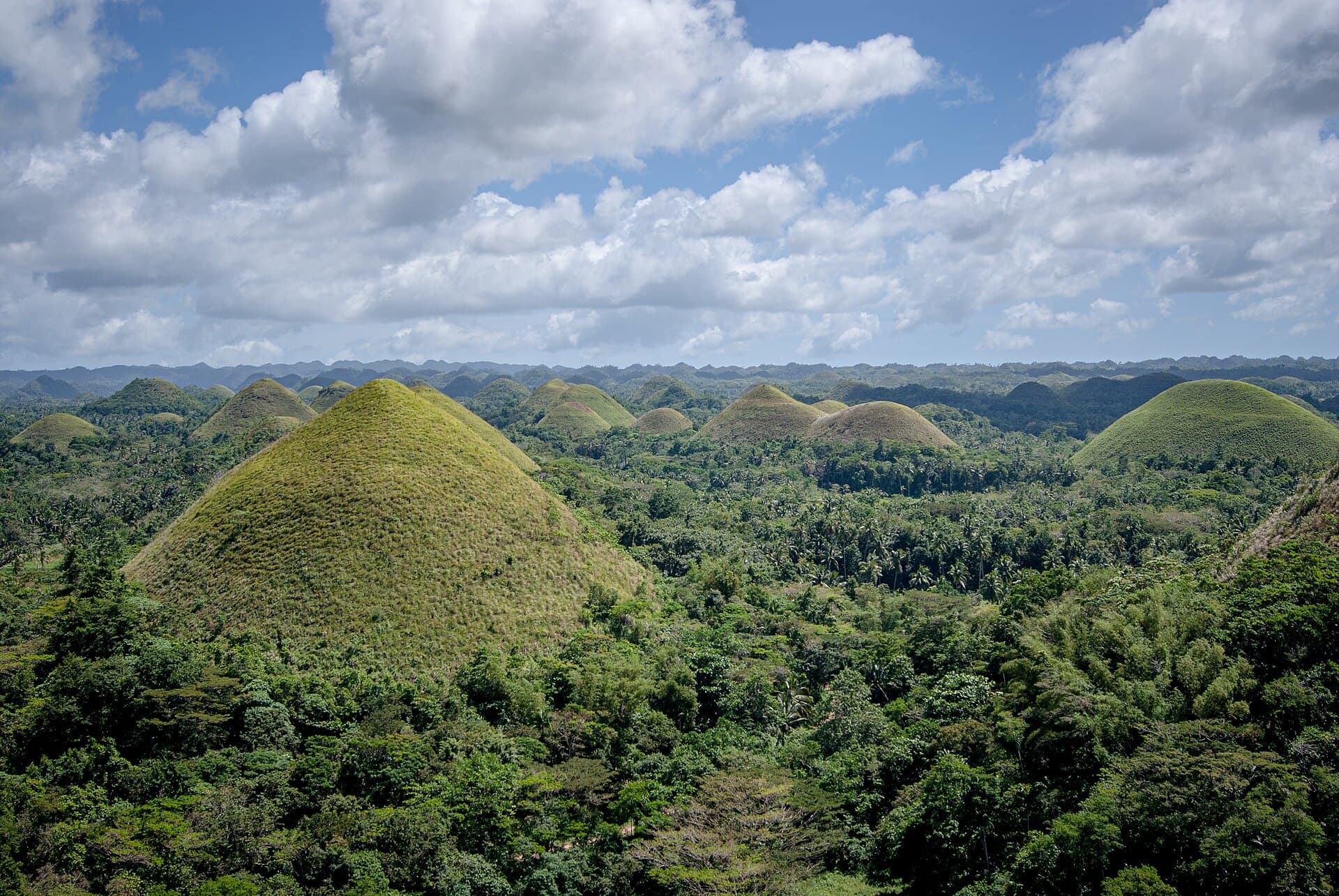 Bohol