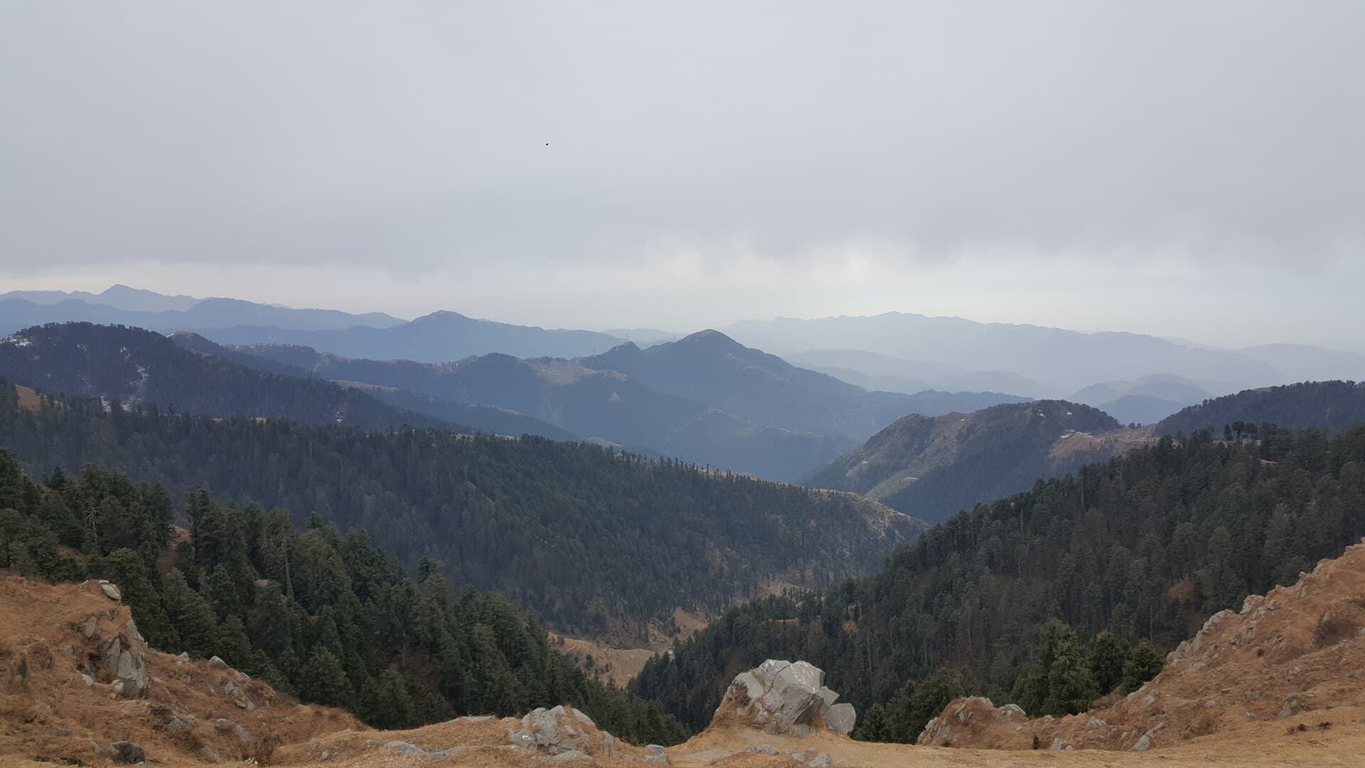 Dalhousie