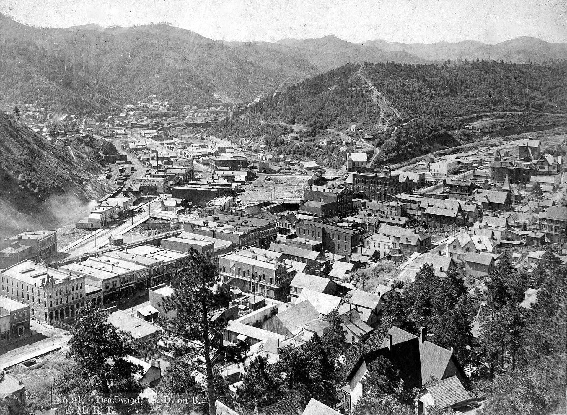 Deadwood