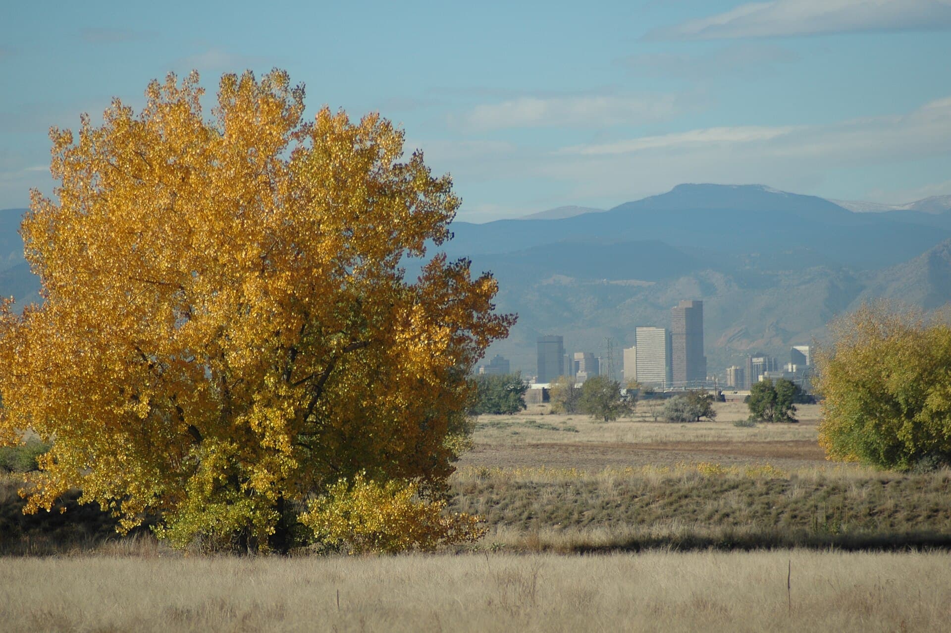 Denver
