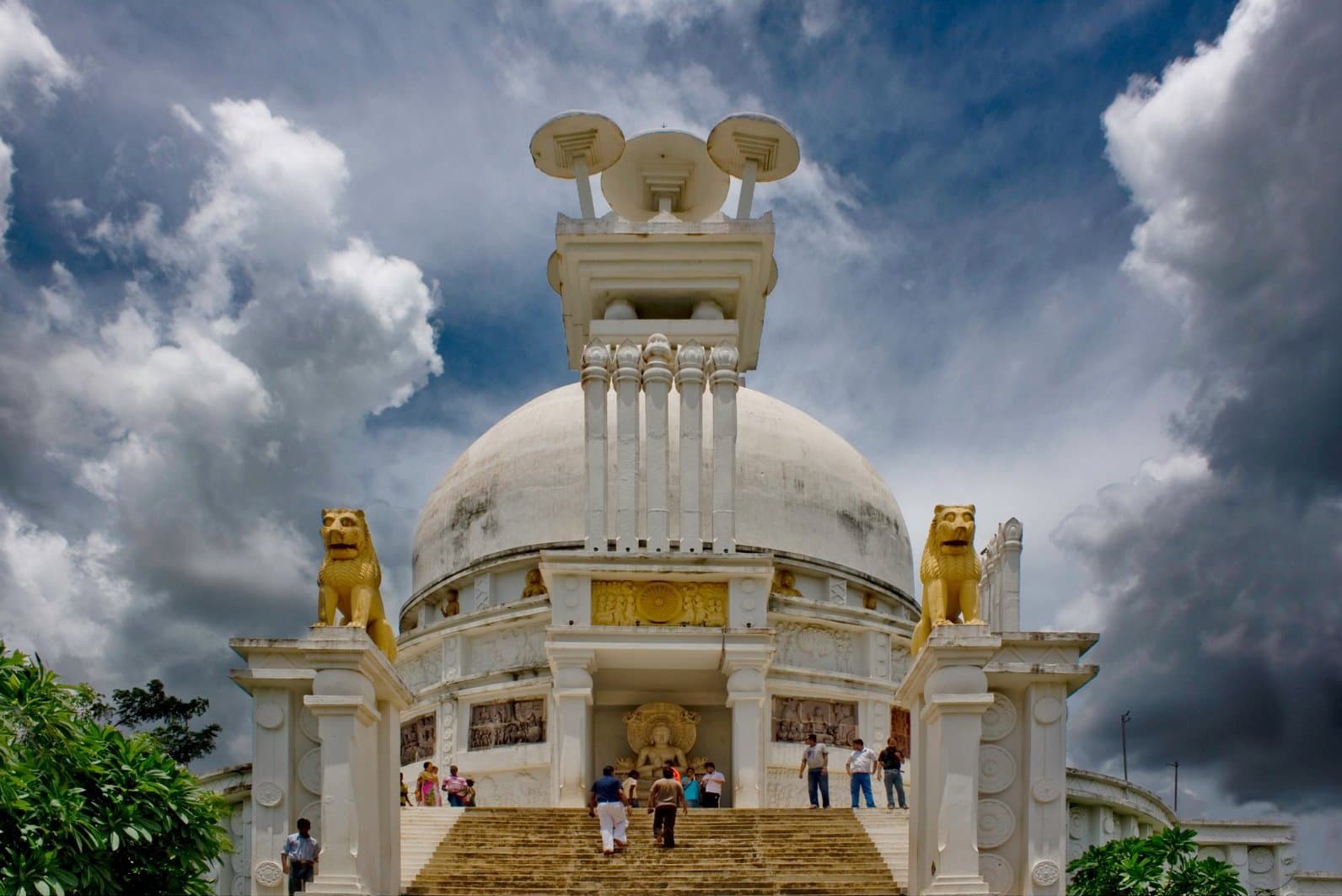 Dhauli