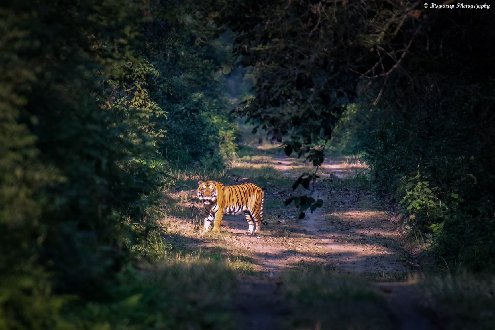 Dudhwa
