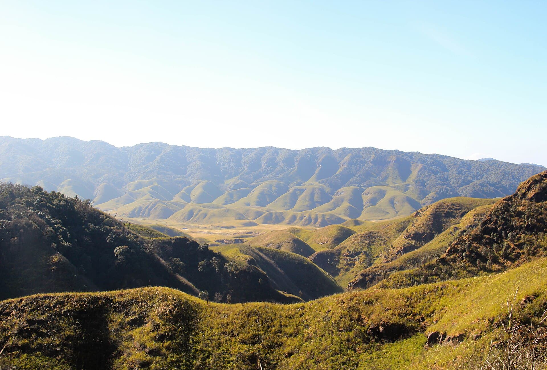 Dzukou Valley