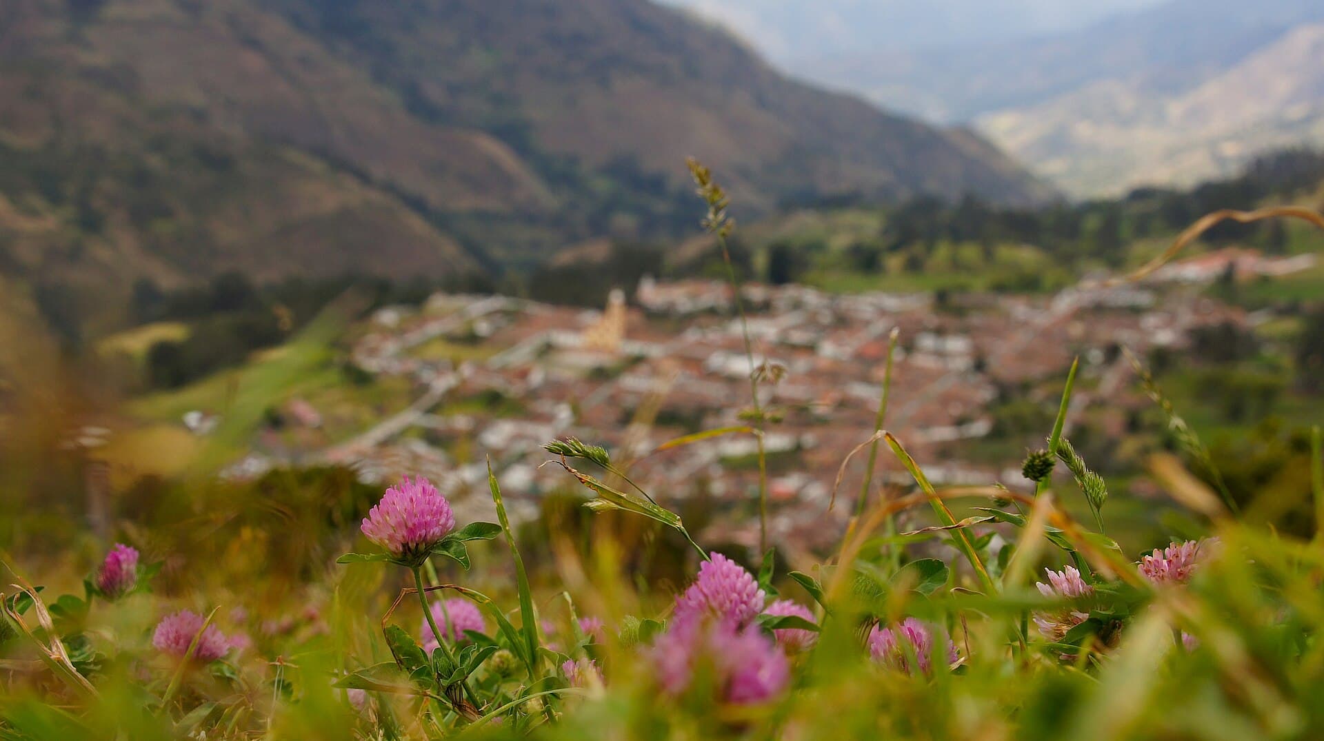 El Cocuy