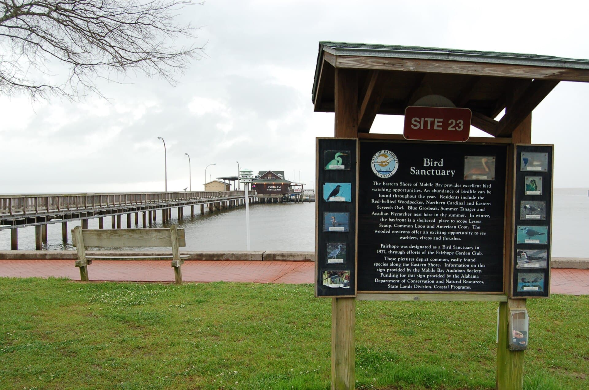 Fairhope