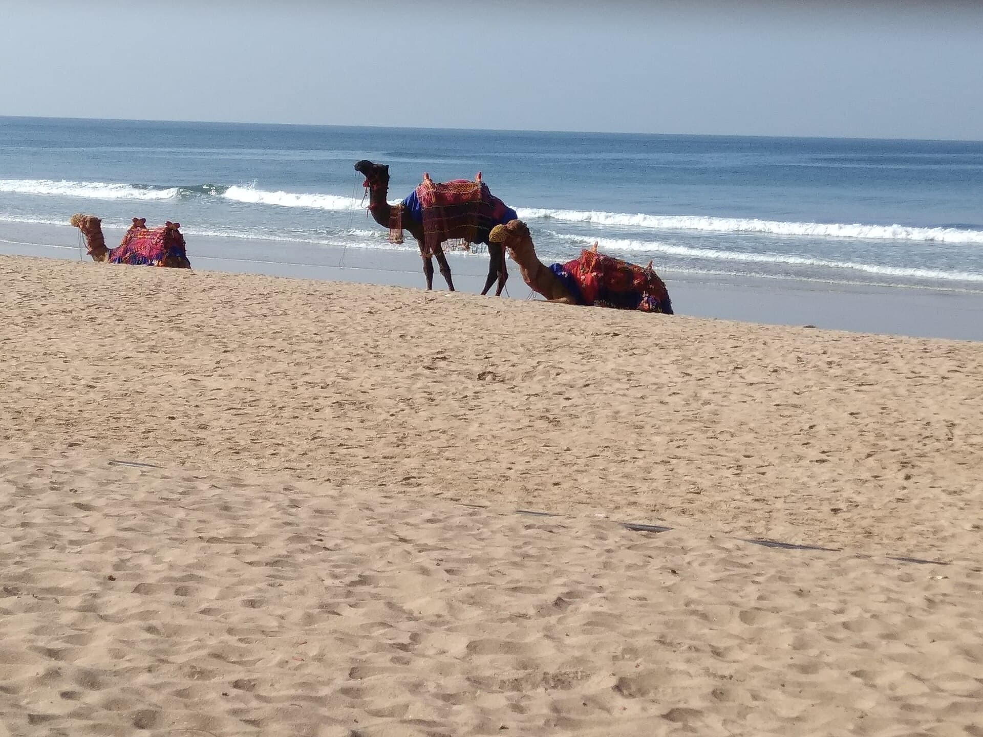 Ganpatipule