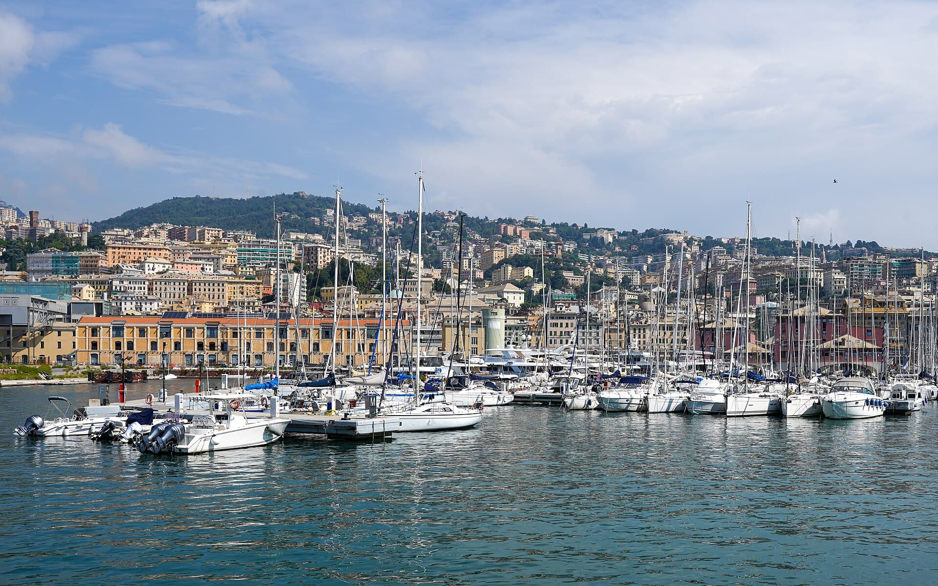Genoa