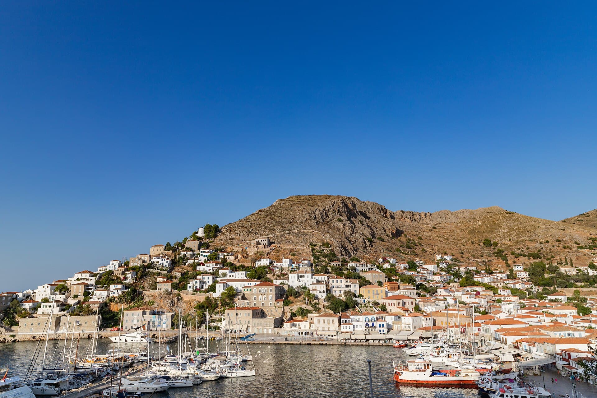 Hydra