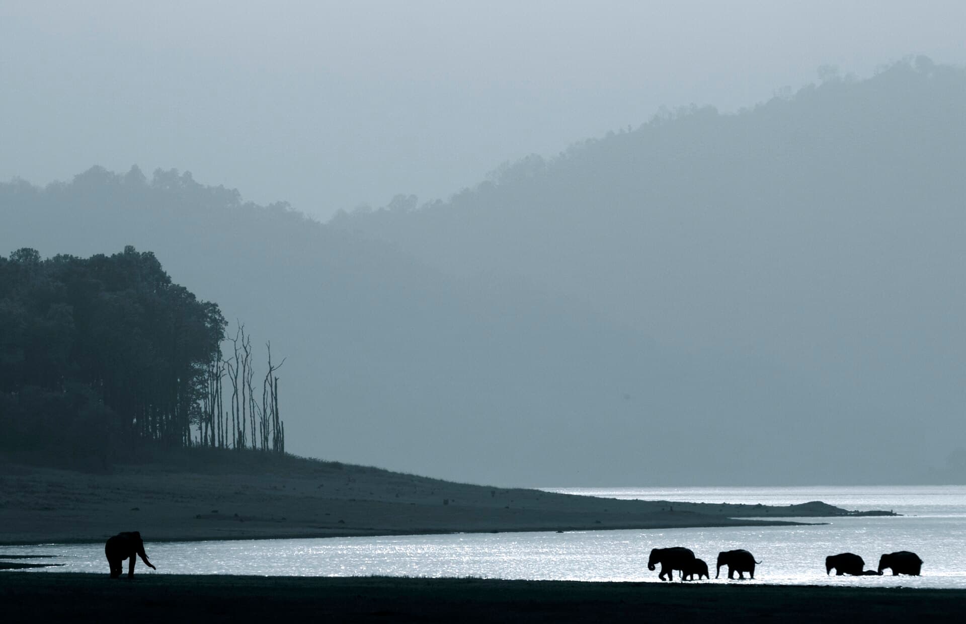 Jim Corbett