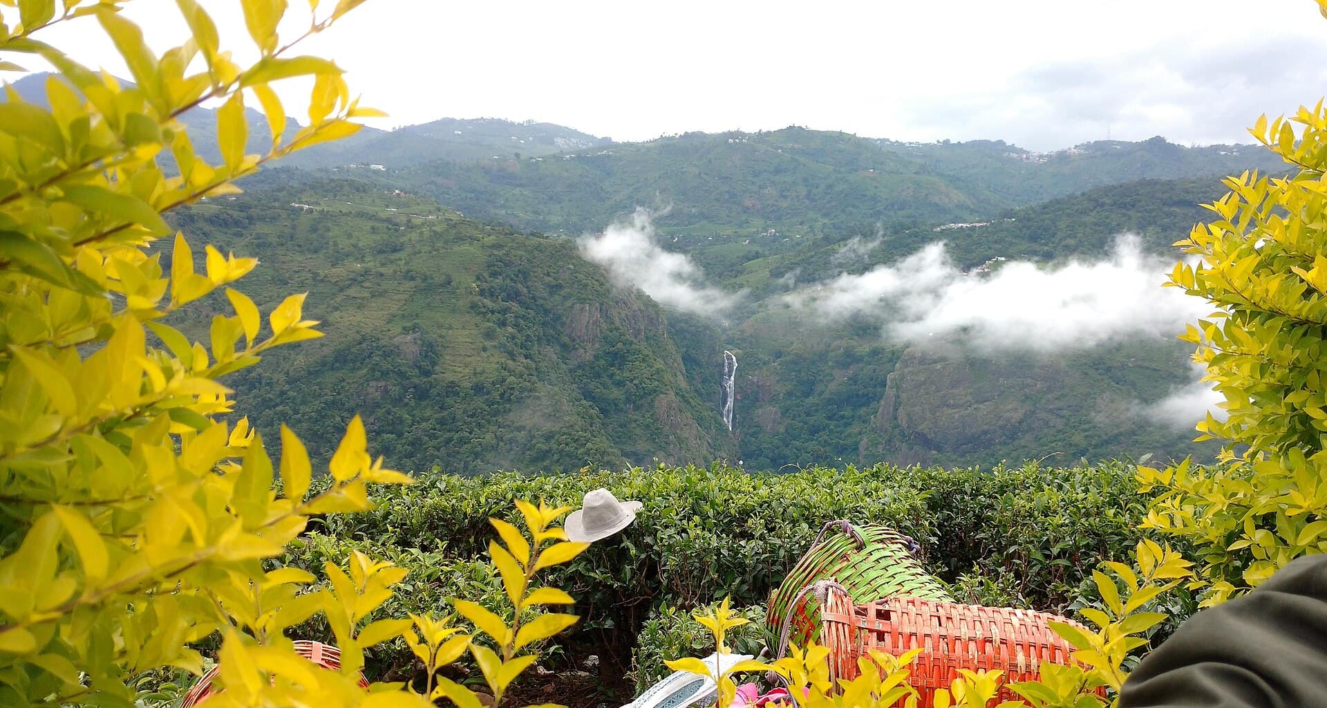 Kotagiri