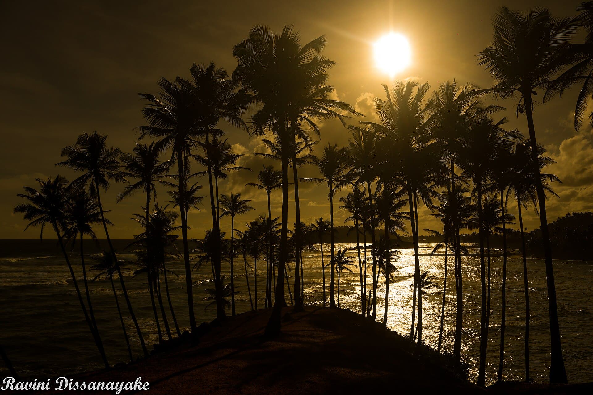 Mirissa