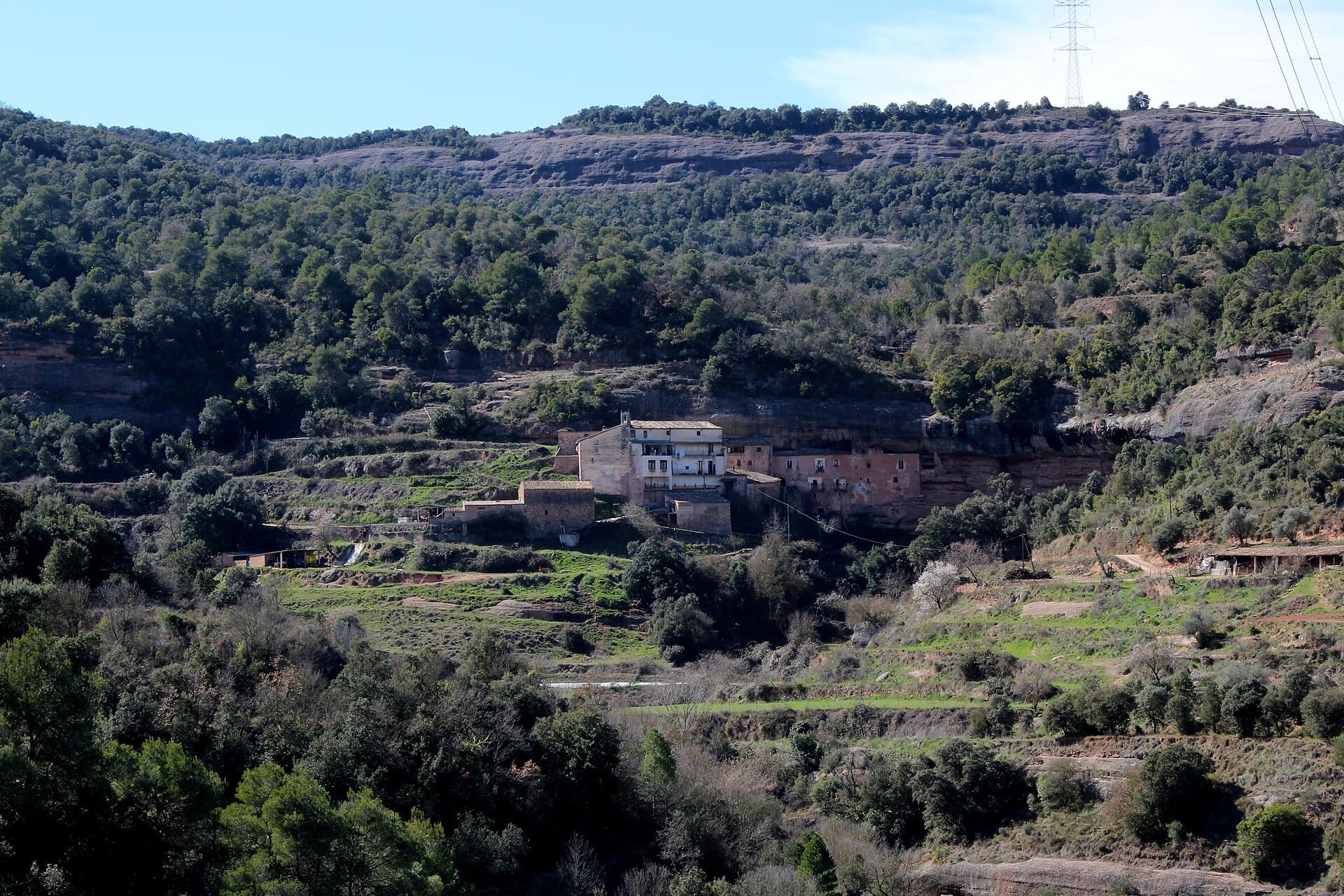 Mura