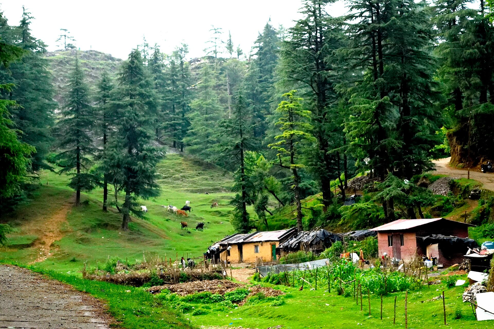 Mussoorie