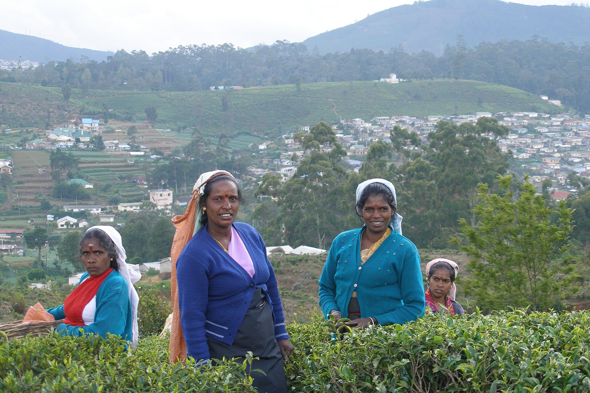 Nuwara Eliya