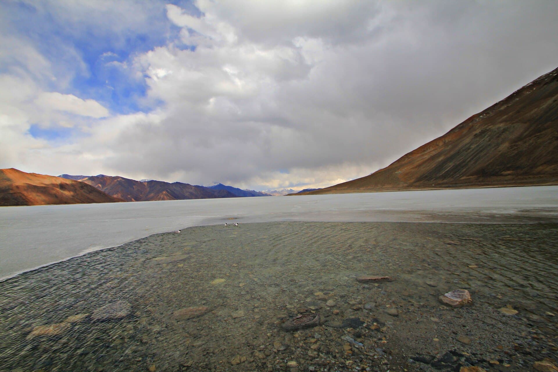 Pangong