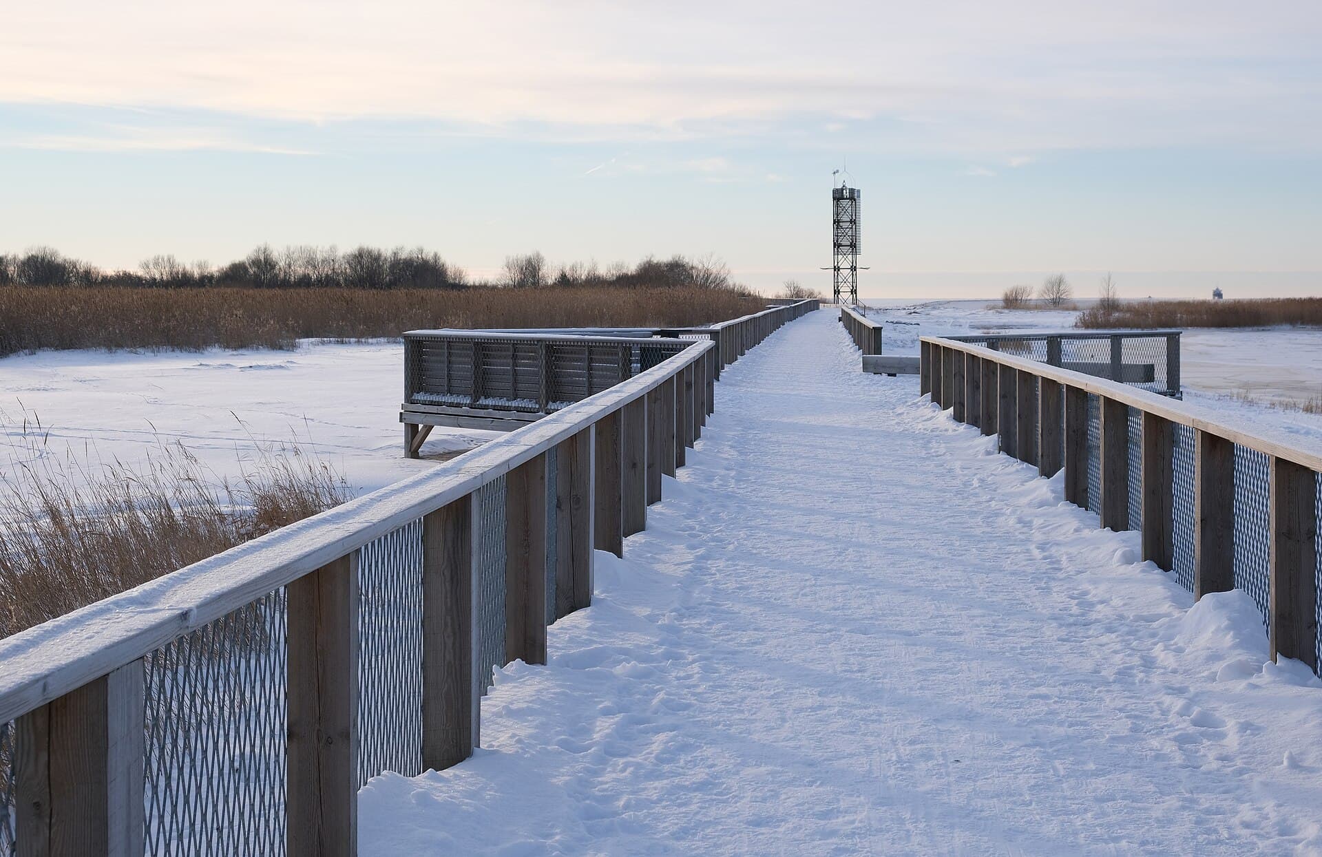 Pärnu