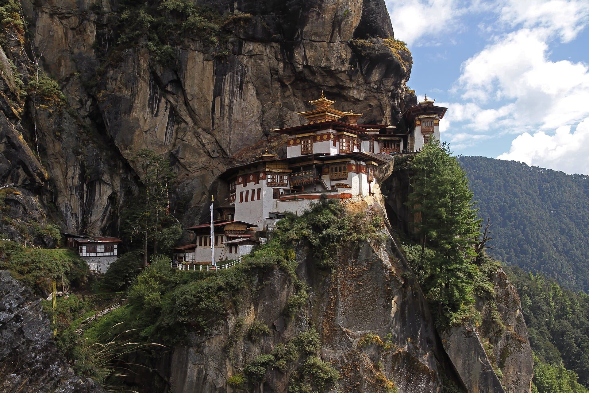 Paro