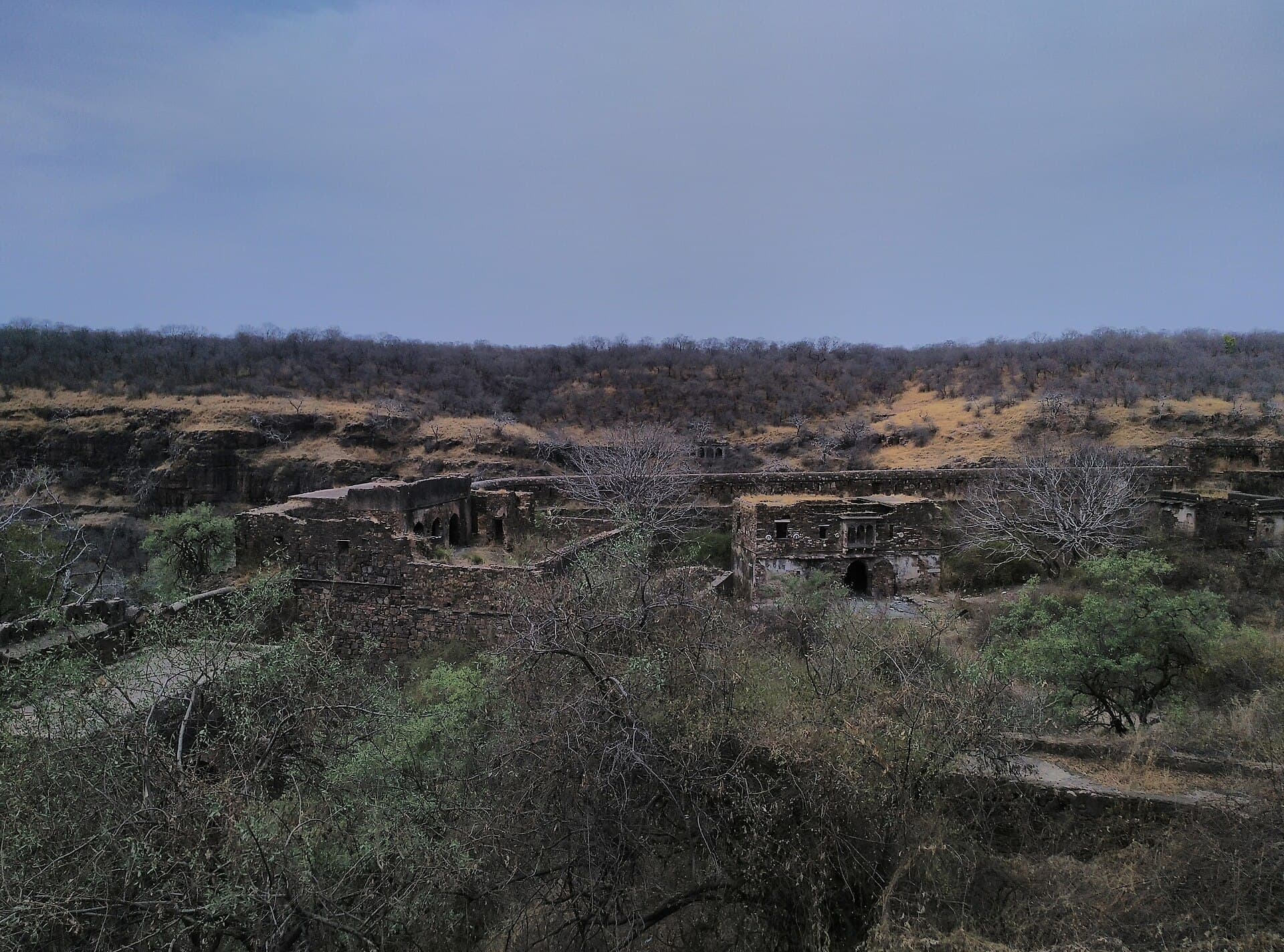 Ranthambore