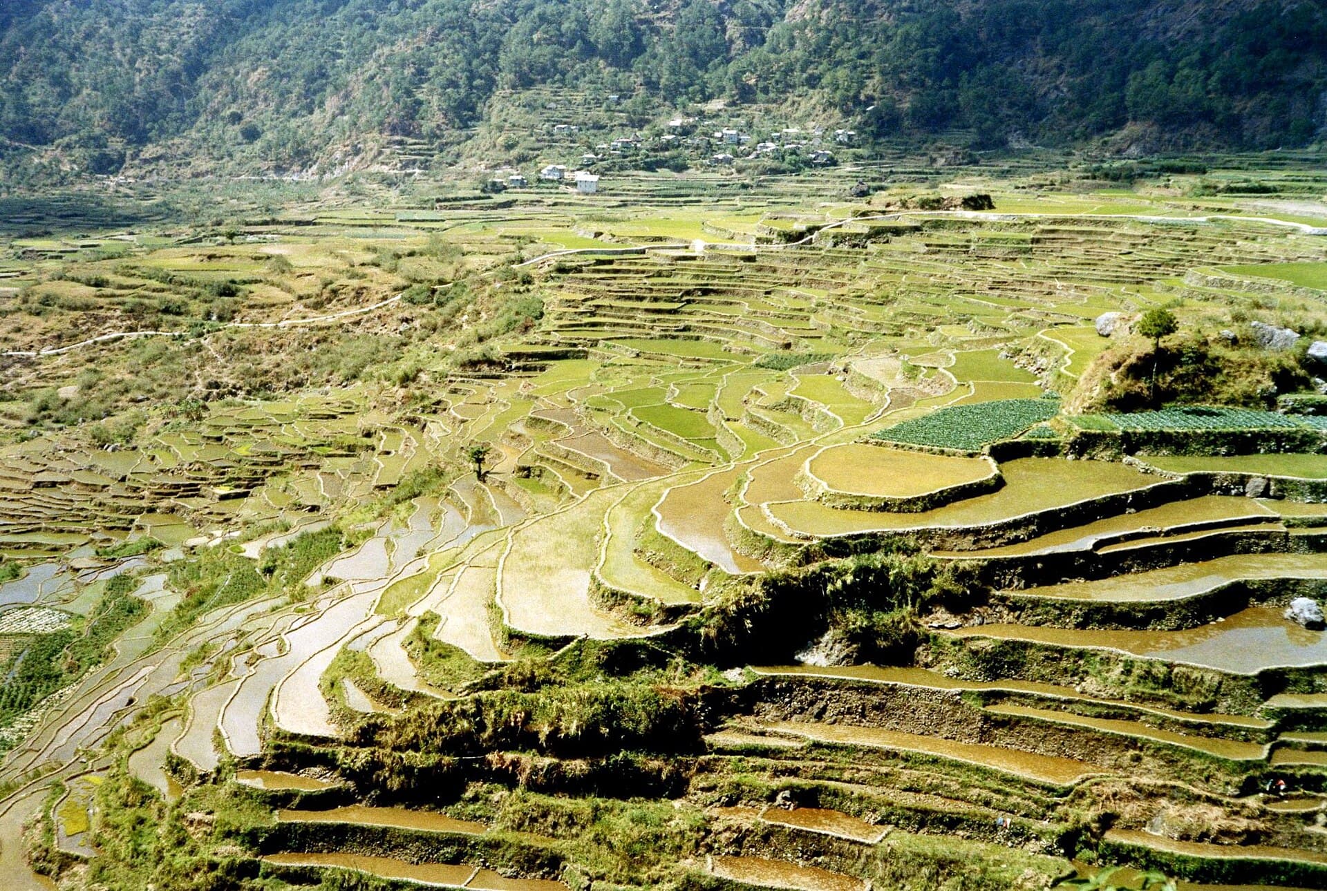 Sagada