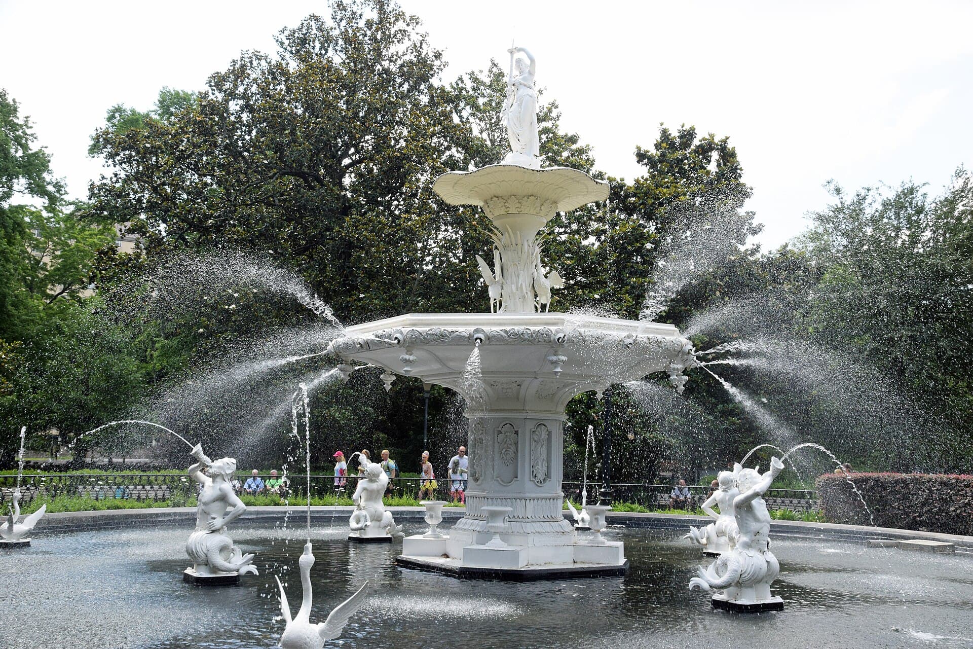 Savannah