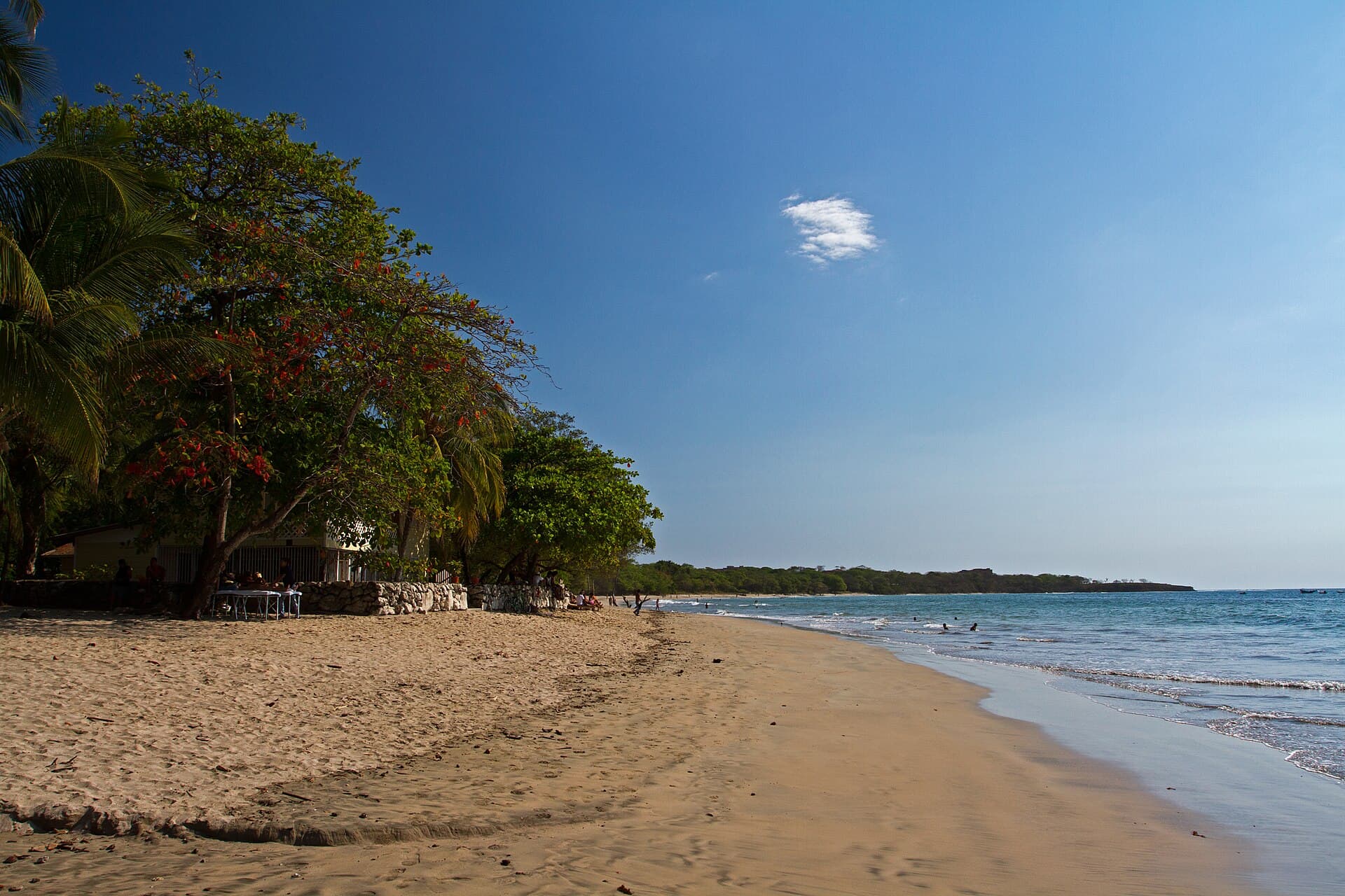 Tamarindo