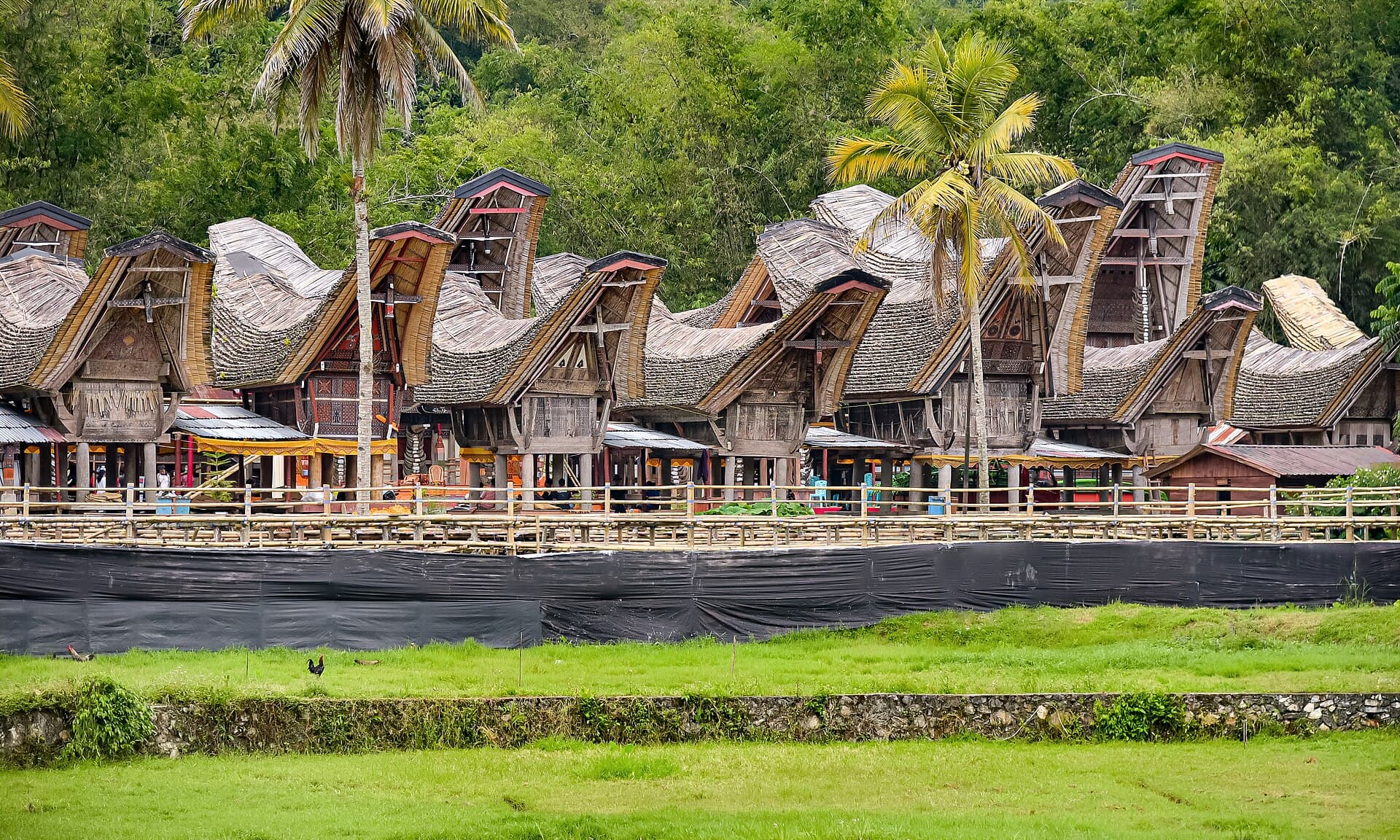 Tana Toraja