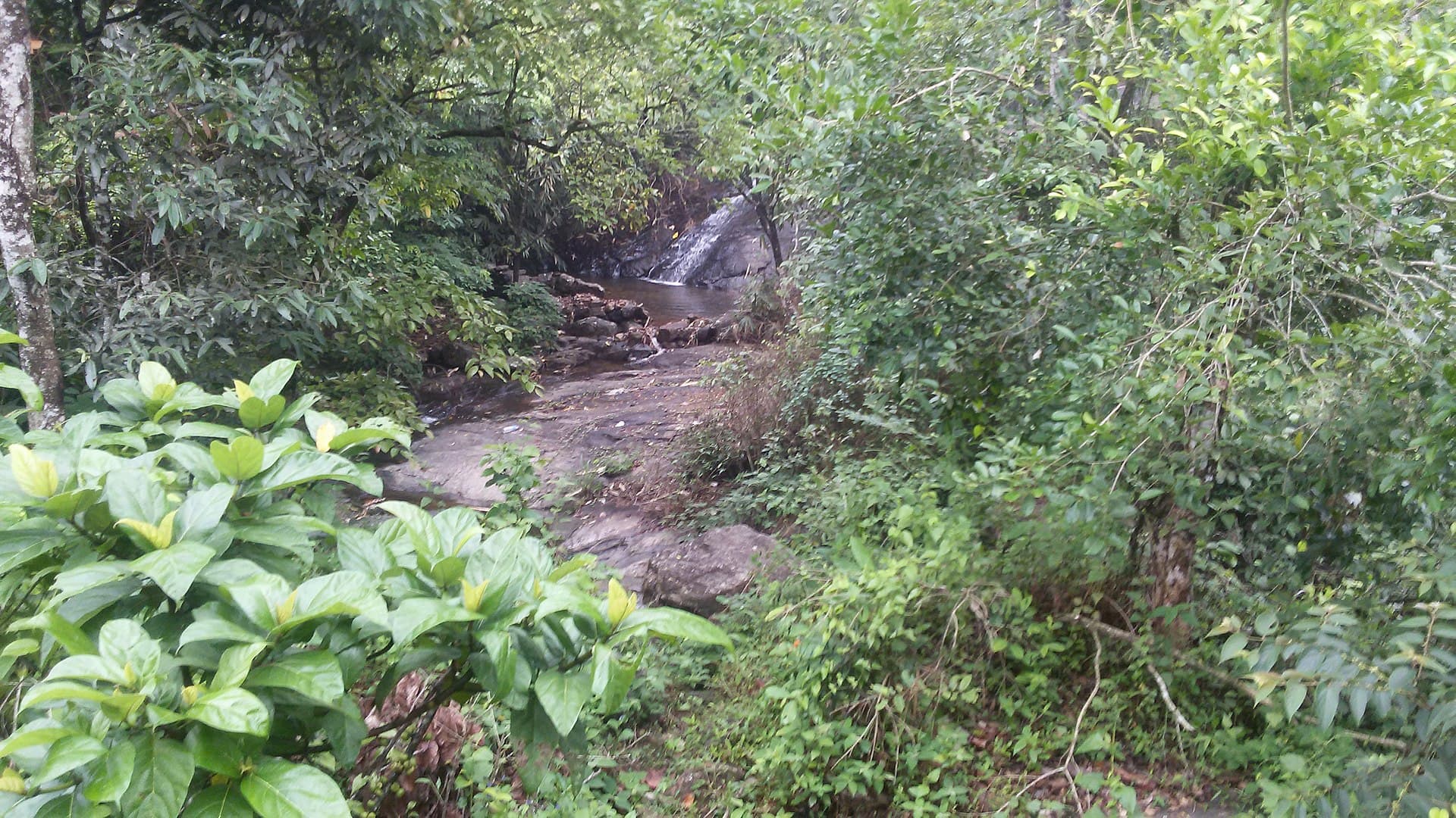 Vagamon