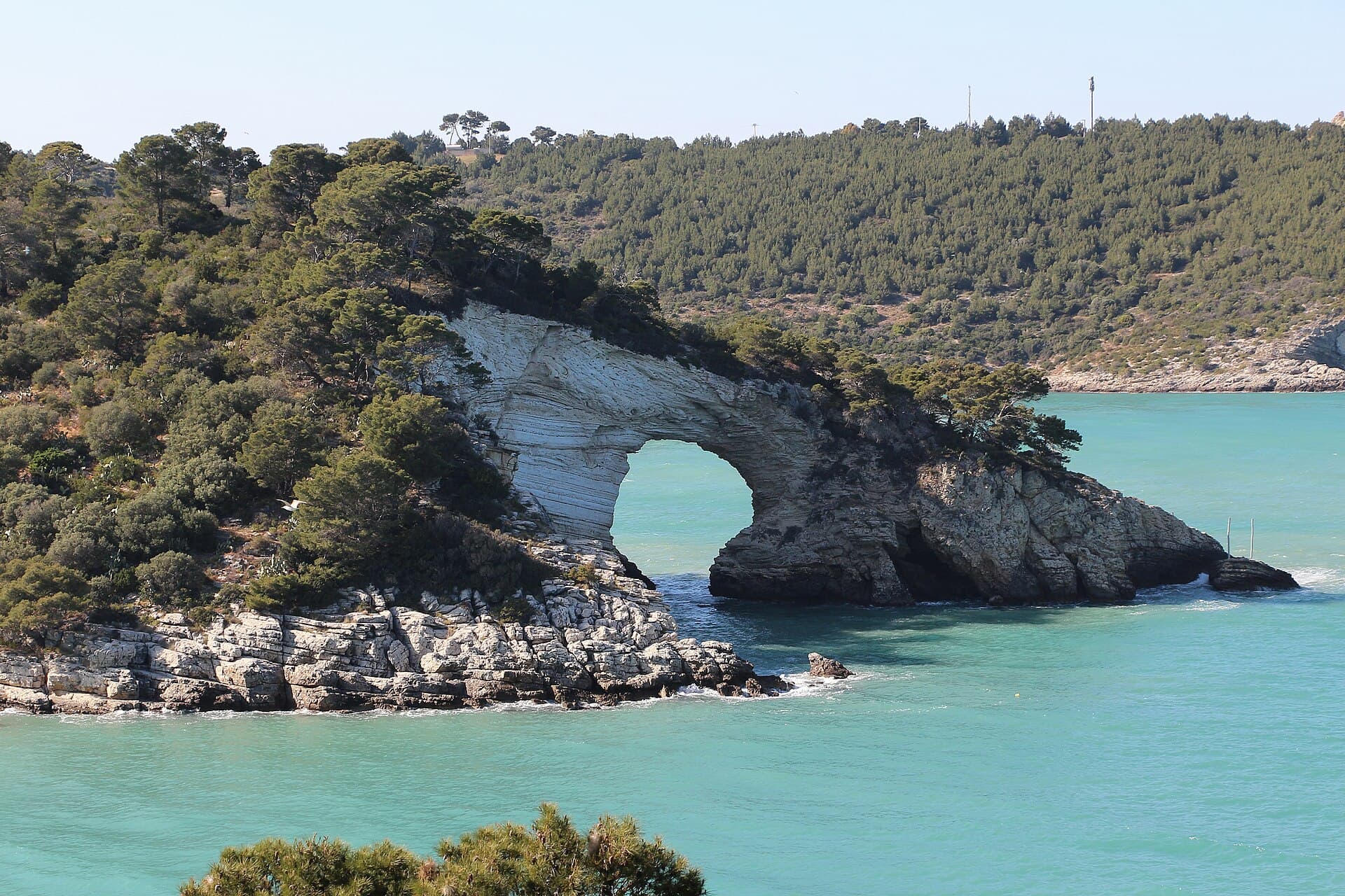 Vieste