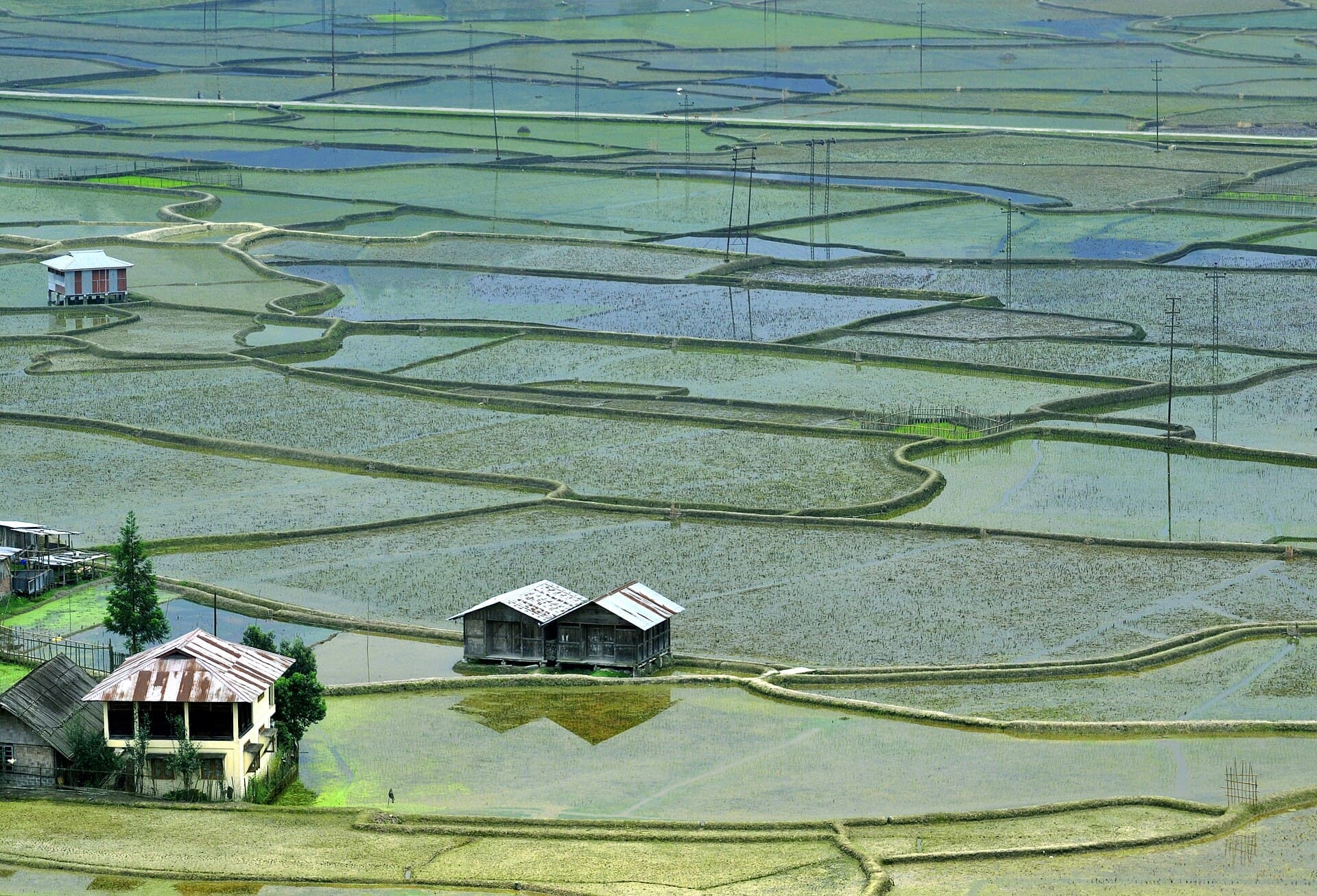 Ziro
